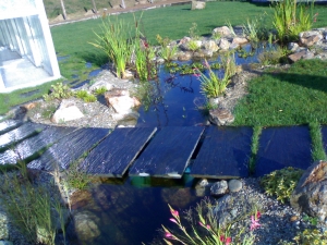 Creación de una cascada y un estanque artificial (I) - Trabajos de Agua